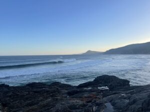 IMG_6854